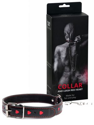 Povodac i okovratnik