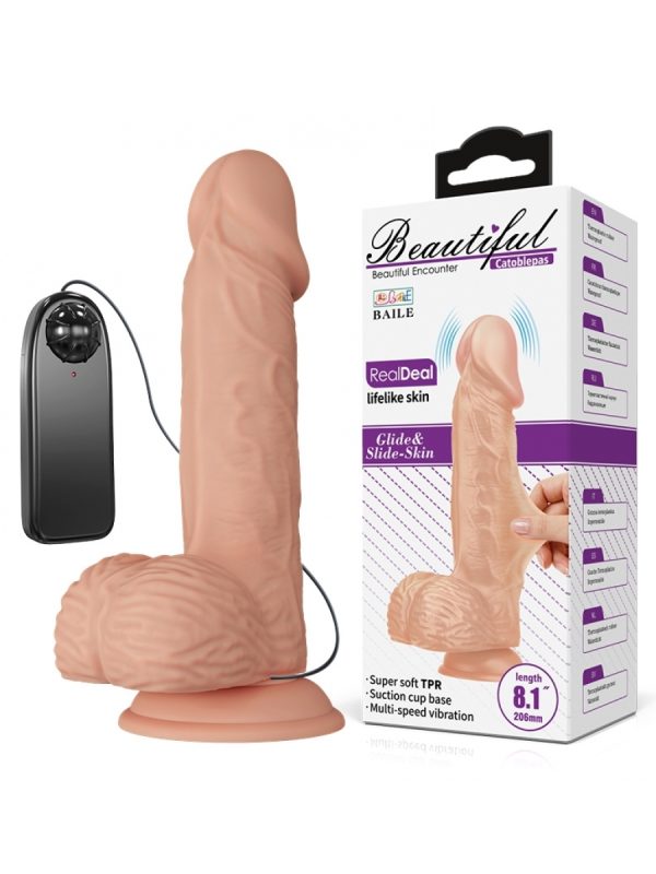 Beautiful Catoblepas vibrator