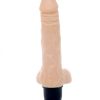 Cyclone vibrator - Image 2