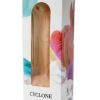 Cyclone vibrator - Image 4