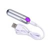 Wibrator Strong Bullet vibrator Silver Purple USB 10 Functions masažer za klitoris - Image 2