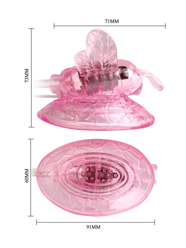 Butterfly clito - Image 6