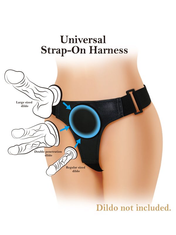 Pretty Love Bobby Harness Briefs - Image 3