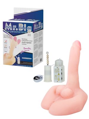 Mr. Big-Vaš lični ljubavnik